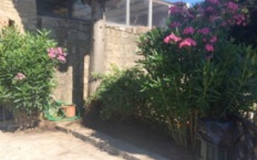 Καθαρισμός πάρκων - δρόμων και κλάδεμα δένδρων από την ΕΤΑΙΠΡΟΦΥΚΑ