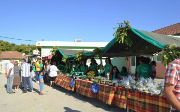 «Πολιτιστικές Περιηγήσεις στη Ρόδο»