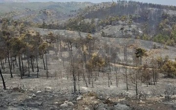 Συνεχείς αναζωπυρώσεις στο μέτωπο της πυρκαγιάς