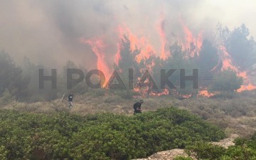 Οι εμπρηστές
