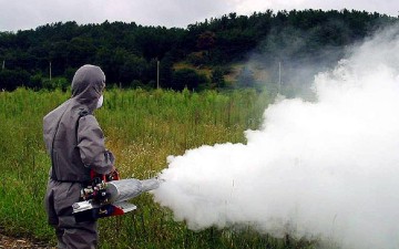 Από τις 6 Νοεμβρίου επιτρέπεται η έκθλιψη ελαιόκαρπου στα νησιά μας