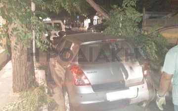 Κλώνος δέντρου καταπλάκωσε αυτοκίνητο Ροδίτη