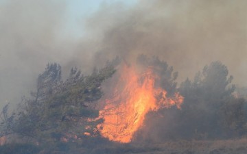 Εμπρησμός η χθεσινή πυρκαγιά στη Ρόδο-Συνελήφθη 60χρονος