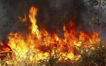 Φωτιά σε ξερά χόρτα κοντά στα Μαριτσά