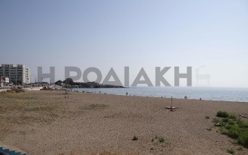 Χελώνα δάγκωσε στην παραλία  Ζέφυρος  τρεις συμπολίτισσές μας