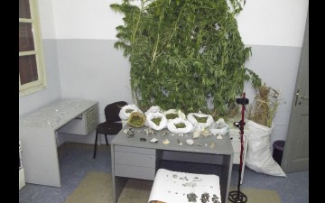 Ελεύθερος ο Καλαβαρδενός για τα  δενδρύλλια και τα αρχαία νομίσματα