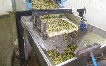 Λειτουργεί το ελαιοτριβείο της Καλύμνου