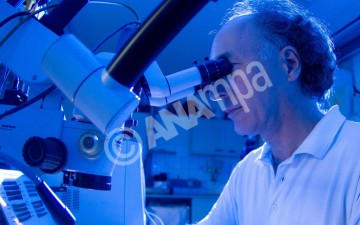 Έλληνας επιστήμονας εφηύρε μικροσκοπικές «χειροβομβίδες» κατά του καρκίνου