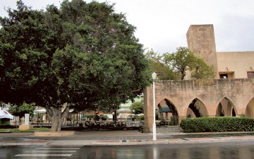 Αυξήθηκε κατά 42% ο τζίρος των επιχειρήσεων του δήμου Ρόδου