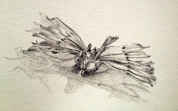 Η ανθρώπινη ανατομία  της Ευστρατίας Μαχαιρίδη