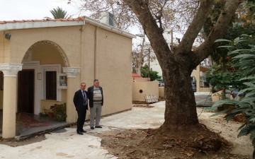 Παρέμβαση της Περιφέρειας Ν. Αιγαίου για να σωθεί ο πλάτανος στον Ιερό Ναό Ταξιαρχών Ρόδου