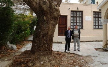 Απάντηση για τον πλάτανο στο εκκλησάκι του Ταξιάρχη