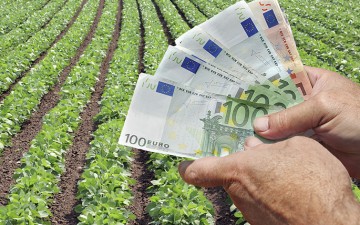 Στις 29/1 καταβάλλονται από τον ΕΛΓΑ αποζημιώσεις ύψους 7,3 εκατ. ευρώ σε αγρότες