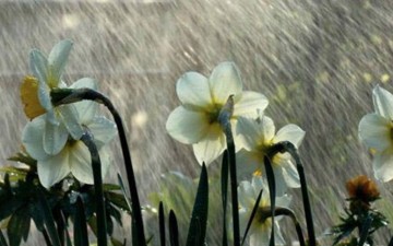 Η Αναγέννηση της χώρας μας μέσα από τις στάχτες