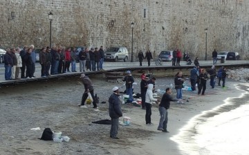 Βίντεο: Χαμός στο λιμάνι της Ρόδου – Τσιπούρες βγήκαν στη… στεριά (φωτορεπορτάζ)