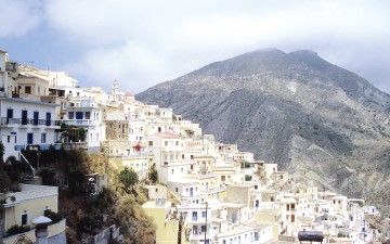 Λαϊκή συνέλευση στην Όλυμπο για τα ανεπιτήρητα ζώα