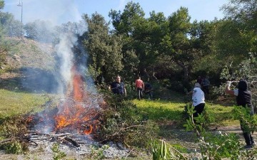 Καθαρισμός στο δάσος των Πευκών από το mypefkos