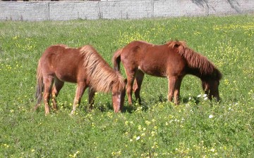 Το 4ο μουσικό και φυσιολατρικό φεστιβάλ της Ρόδου