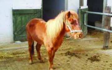 Στις 16 και 17 Απριλίου  το μουσικό φεστιβάλ  Φαέθων