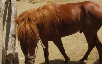 Το μουσικό φεστιβάλ Φαέθων 2016
