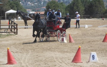 Ξανά πρωταγωνιστής  ο Κάδμος