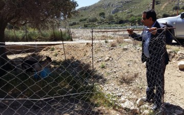Επάρκεια ντόπιου κρέατος στην τοπική αγορά της Ρόδου διαπίστωσε ο Γιώργος Πόκκιας