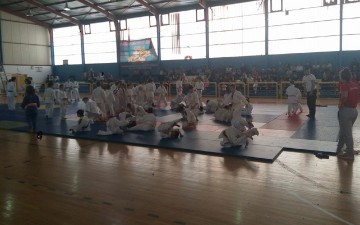 Ρεκόρ συμμετοχών στο περιφερειακό του τζούντο