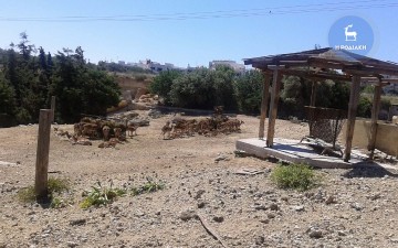 Ηλεκτρονική περίφραξη στο ελαφοκομείο του Ροδινιού