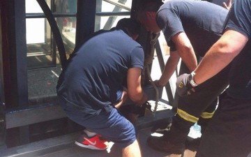 Επιχείρηση σωτηρίας από την  Πυροσβεστική για ένα μικρό γατάκι στη Ρόδο