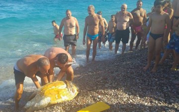 Νεκρή χελώνα «ξεβράστηκε» σε παραλία της Ρόδου (φωτορεπορτάζ)