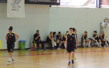 «Πέταξε» για Αθήνα ο Πήγασος Κρεμαστής