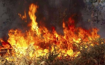 Αναζωπύρωση πυρκαγιάς στην περιοχή Αγίας Βαρβάρας