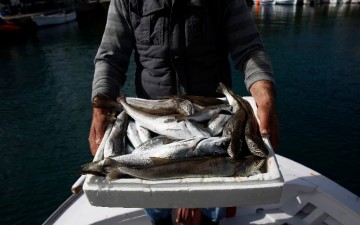 Greenpeace: «Ένα Κουτί Θάλασσα στην πόρτα σας» με ψαράδες από τη Λέρο‏ 