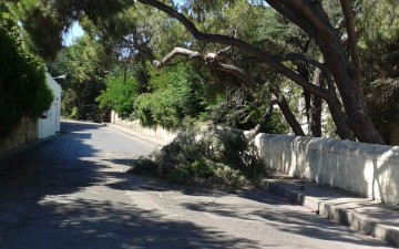 Τεράστιος κλώνος απο δέντρο στη μέση του δρόμου