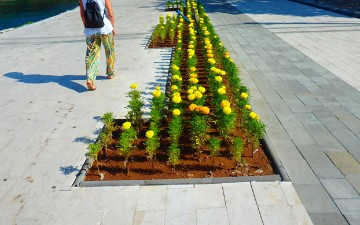 Αρδευτικό δίκτυο σε παρτέρια θα εγκατασταθεί από το δήμο