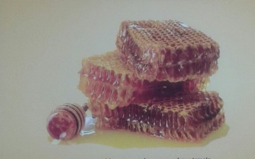 Το άγνωστο παρελθόν της  Μελισσοκομίας του Αιγαίου
