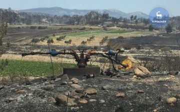 Τηλεφωνική παρέμβαση της Δ. Μανωλάκου στο υπ. Αγροτικής Ανάπτυξης για το αρδευτικό δίκτυο της Απολακκιάς