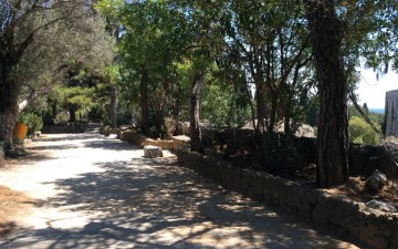 Σε 1.000 ώρες κοινωφελούς εργασίας καταδικάστηκε 52χρονος επιχειρηματίας