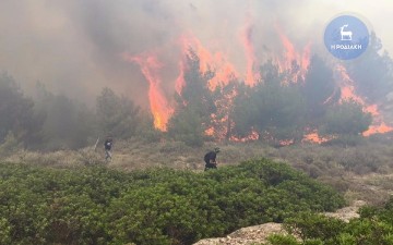 Ερώτηση για την καθυστέρηση στην καταβολή αποζημιώσεων στους αγρότες της Ν. Ρόδου κατέθεσε ο Μ. Κόνσολας στη Βουλή 