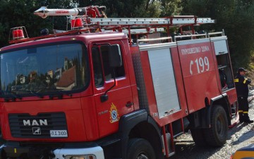 Κατήγγειλε τον γιο της για πρόκληση πυρκαγιάς