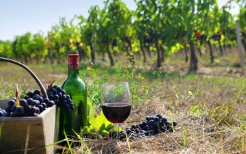 Στις 27 Αυγούστου  η γιορτή κρασιού στον Έμπωνα