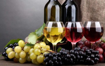 Η γιορτή αμπελιού στις Φάνες