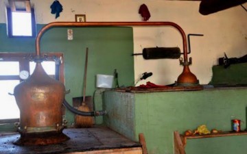 Οι άδειες για την απόσταξη σούμας στη Ρόδο