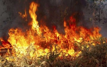 Πυροσβεστική Υπηρεσία Δωδεκανήσου: Αναστολή καύσης κλαδιών μέχρι το τέλος Νοεμβρίου
