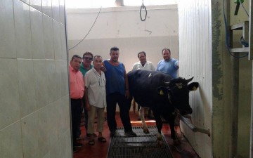 Θρησκευτική τελετή σφαγής για τον εορτασμό του «Κουρμπάν Μπαϊράμι» στα σφαγεία της Περιφέρειας στη Ρόδο