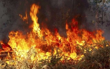 Συμβαίνει τώρα: Φωτιά ξέσπασε κοντά σε ξενοδοχειακή μονάδα στη Λαχανιά