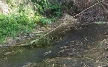Με λύματα έχει γεμίσει ο ποταμός στις Καλυθιές