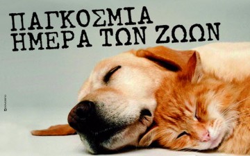 Ο Δήμος Ρόδου συμμετέχει και στηρίζει τη Παγκόσμια Ημέρα των Ζώων 