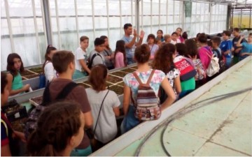 Αρωματικά φυτά και βότανα από τα Δωδεκάνησα