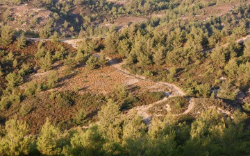 Νομοθετική ρύθμιση για την επίλυση των προβλημάτων στη Δωδεκάνησο από την ανάρτηση των δασικών χαρτών